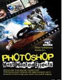 Image of Photoshop Most Wanted Effects